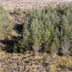 Survey photograph, North of layby 170: Large areas of commercial forestry with forestry track, A9 Dualling - Tomatin to Moy, Highland