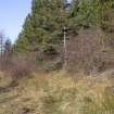 Survey photograph, North of layby 170: Narrow strip of conifers and sparse natural woodland separated from the A9, A9 Dualling - Tomatin to Moy, Highland