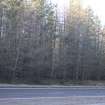 Survey photograph, North of layby 170: Dense commercial forestry plantation on the west side of the A9, A9 Dualling - Tomatin to Moy, Highland