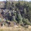 Survey photograph, North of layby 170: Beginning of larger commercial forestry plantation on the north side of the A9, A9 Dualling - Tomatin to Moy, Highland