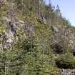 Survey photograph, South of layby 171: General view of conifer plantation on bedrock cliff face, A9 Dualling - Tomatin to Moy, Highland