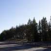 Survey photograph, South of layby 171: General view of forestry plantation with start of raised bank on the south side, A9 Dualling - Tomatin to Moy, Highland