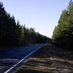 Survey photograph, South of layby 171: General view of commercial forestry plantation on both sides of the A9, A9 Dualling - Tomatin to Moy, Highland