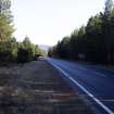 Survey photograph, South of layby 171: General view of commercial forestry plantation on both sides of the A9, A9 Dualling - Tomatin to Moy, Highland