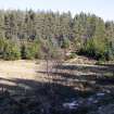 Survey photograph, South of layby 171: General view of gap in commercial forestry plantation showing steep slope, A9 Dualling - Tomatin to Moy, Highland