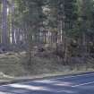 Survey photograph, South of layby 171: Logging and natural tree collapse area on the south side of the A9, A9 Dualling - Tomatin to Moy, Highland