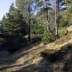 Survey photograph, South of layby 171: Bank of commercial forestry and grass verge with quarry chip-filled ditch on the north side of the A9, A9 Dualling - Tomatin to Moy, Highland