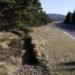 Survey photograph, South of layby 171: East end of ditch filled in with small, irregular quarry chips and 4m wide grass verge, A9 Dualling - Tomatin to Moy, Highland