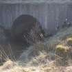 Survey photograph, South of layby 171: Concrete culvert with water moving north under the A9, A9 Dualling - Tomatin to Moy, Highland