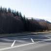 Survey photograph, South of layby 171: Small patch of natural woodland on the south side of the A9, A9 Dualling - Tomatin to Moy, Highland