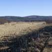 Survey photograph, South of layby 171: Open grassy moorland with scattered natural woodland on the north side, A9 Dualling - Tomatin to Moy, Highland