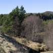 Survey photograph, South of layby 171: General view of the east end of the commercial forestry plantation, A9 Dualling - Tomatin to Moy, Highland