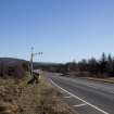 Survey photograph, South of layby 171: Natural woodland strip and safety barrier end on either side, A9 Dualling - Tomatin to Moy, Highland