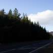 Survey photograph, General view of commercial forestry plantations either side of the A9, A9 Dualling - Tomatin to Moy, Highland