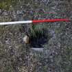 Survey photograph, 30cm diameter dug hole to the north-east of the A9, A9 Dualling - Tomatin to Moy, Highland