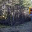 Survey photograph, General view of commercial forestry plantation on the north side of the A9, A9 Dualling - Tomatin to Moy, Highland