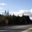 Survey photograph, Solid steel safety barriers on both sides of the A9 with commercial forestry conifer plantations, A9 Dualling - Tomatin to Moy, Highland