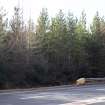 Survey photograph, Commercial forestry plantation on the south side of the A9, A9 Dualling - Tomatin to Moy, Highland