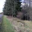 Survey photograph, Cut down tree stumps and forestry track leading through conifers to the north-west, A9 Dualling - Tomatin to Moy, Highland