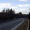 Survey photograph, Railway bridge and natural woodland on both sides of the A9, A9 Dualling - Tomatin to Moy, Highland