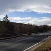 Survey photograph, Natural woodland strip on the south-west side of the A9 with ground sloping down, A9 Dualling - Tomatin to Moy, Highland