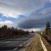 Survey photograph, Natural woodland and shrubs on both sides of the A9, A9 Dualling - Tomatin to Moy, Highland