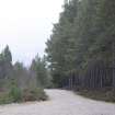 Survey photograph, Commercial forestry plantation on the south side of the A9 with small pebble track, A9 Dualling - Tomatin to Moy, Highland