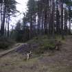 Survey photograph, Forestry tracks in plantation, eastern track leads to a borehole, A9 Dualling - Tomatin to Moy, Highland