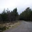 Survey photograph, Track through commercial forestry plantation, A9 Dualling - Tomatin to Moy, Highland