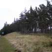 Survey photograph, South of Layby 170: South side of the A9 with and narrow strip of conifer plantation, A9 Dualling - Tomatin to Moy, Highland