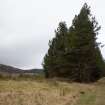 Survey photograph, South of Layby 170: Forestry plantation and logged area to the south of the A9, A9 Dualling - Tomatin to Moy, Highland