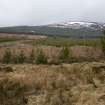 Survey photograph, South of Layby 170: Area of young conifer forestry plantation and grassy moorland, A9 Dualling - Tomatin to Moy, Highland