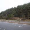 Survey photograph, South of Layby 170: Forestry track on raised ground behind layby 172, A9 Dualling - Tomatin to Moy, Highland