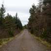 Survey photograph, Conifer forestry plantation and built track ground through it on the south side of the A9, A9 Dualling - Tomatin to Moy, Highland