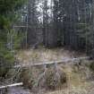 Survey photograph, Small clearing in the conifer plantation with fallen trees, A9 Dualling - Tomatin to Moy, Highland