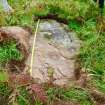 Digital photograph of rock art panel to North, Scotland's Rock Art Project, Clachan Ard, Bute, Argyll and Bute