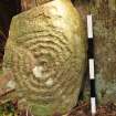 Digital photograph of close up of motifs, from Scotland’s Rock Art Project, Kirkdale House 1, Dumfries and Galloway