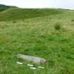 Digital photograph of panel to west, Scotland's Rock Art Project, Carnassarie Farm 10, Kilmartin, Argyll and Bute