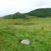 Digital photograph of panel in context without scale, Scotland's Rock Art Project, Carnassarie Farm 10, Kilmartin, Argyll and Bute