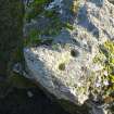 Digital photograph of panel close ups of motifs, from Scotland's Rock Art Project, Balnafoich 2, Highland