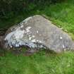 Digital photograph of panel in context with scale, from Scotland's Rock Art Project, Bottacks The Fairy Stone, Highland