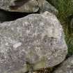 Digital photograph of panel close up of motifs, from Scotland's Rock Art Project, Crosswood 5, West Lothian