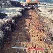 Trial Trench Evaluation Photograph, Post-excavation trench showing natural coverage, A9 Dualling - Tomatin to Moy, Highland