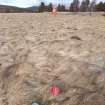 Trial Trench Evaluation Photograph, Pre-excavation view across trench, A9 Dualling - Tomatin to Moy, Highland