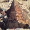 Trial Trench Evaluation Photograph, Post-excavation trench showing natural coverage, A9 Dualling - Tomatin to Moy, Highland