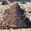 Trial Trench Evaluation Photograph, Post-excavation trench showing natural coverage, A9 Dualling - Tomatin to Moy, Highland