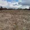 Trial Trench Evaluation Photograph, Pre-excavation view across trench, A9 Dualling - Tomatin to Moy, Highland