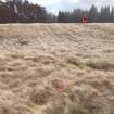 Trial Trench Evaluation Photograph, Pre-excavation view across trench, A9 Dualling - Tomatin to Moy, Highland