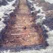 Trial Trench Evaluation Photograph, Post-excavation trench showing natural coverage, A9 Dualling - Tomatin to Moy, Highland