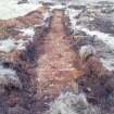 Trial Trench Evaluation Photograph, Post-excavation trench showing natural coverage, A9 Dualling - Tomatin to Moy, Highland